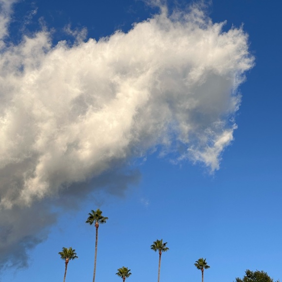 Meet your Posher, Nicole - Picture 1 of 1